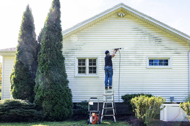 Best Exterior Home Cleaning  in Winthrop, MN