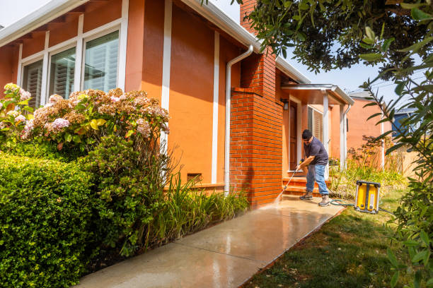 Best Pressure Washing Near Me  in Winthrop, MN