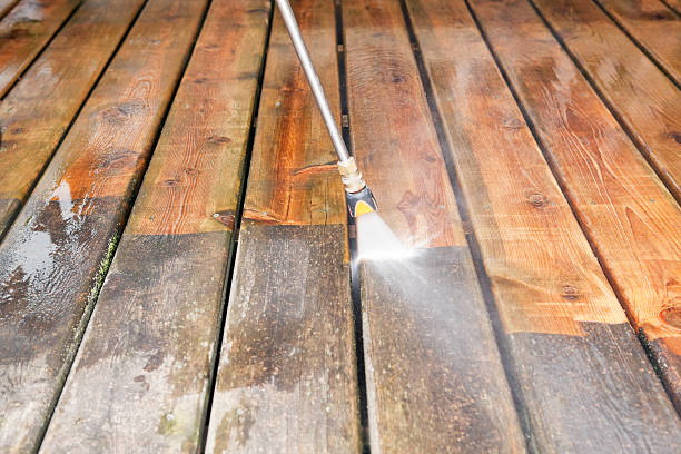 Best Deck Cleaning Services  in Winthrop, MN